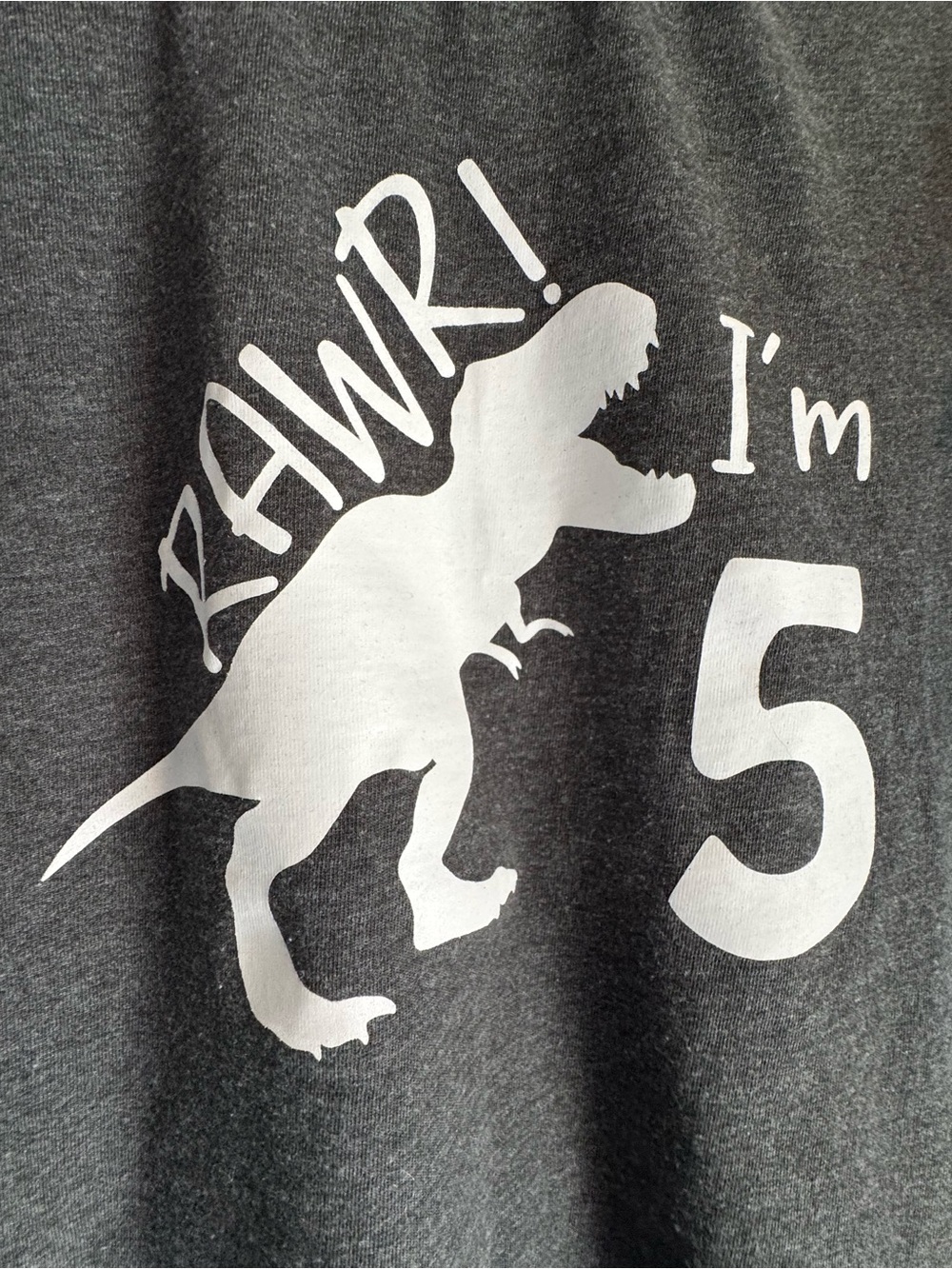 Birthday 'Rawr! I'm 5' Dino Graphic Tee - Picture 4 of 4